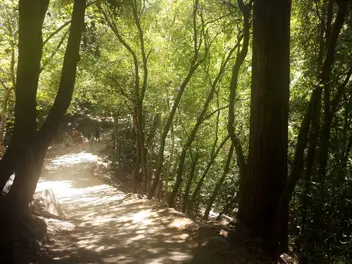 LBNL - California